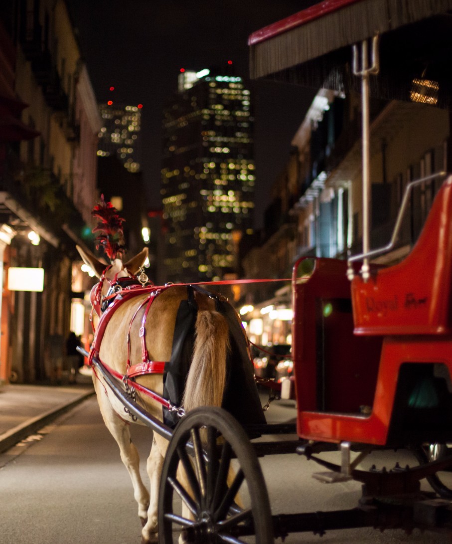 Late Night Ghost Tours in New Orleans 