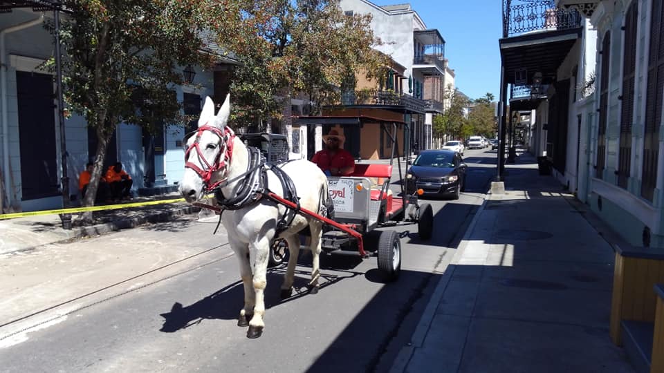 Royal Carriages