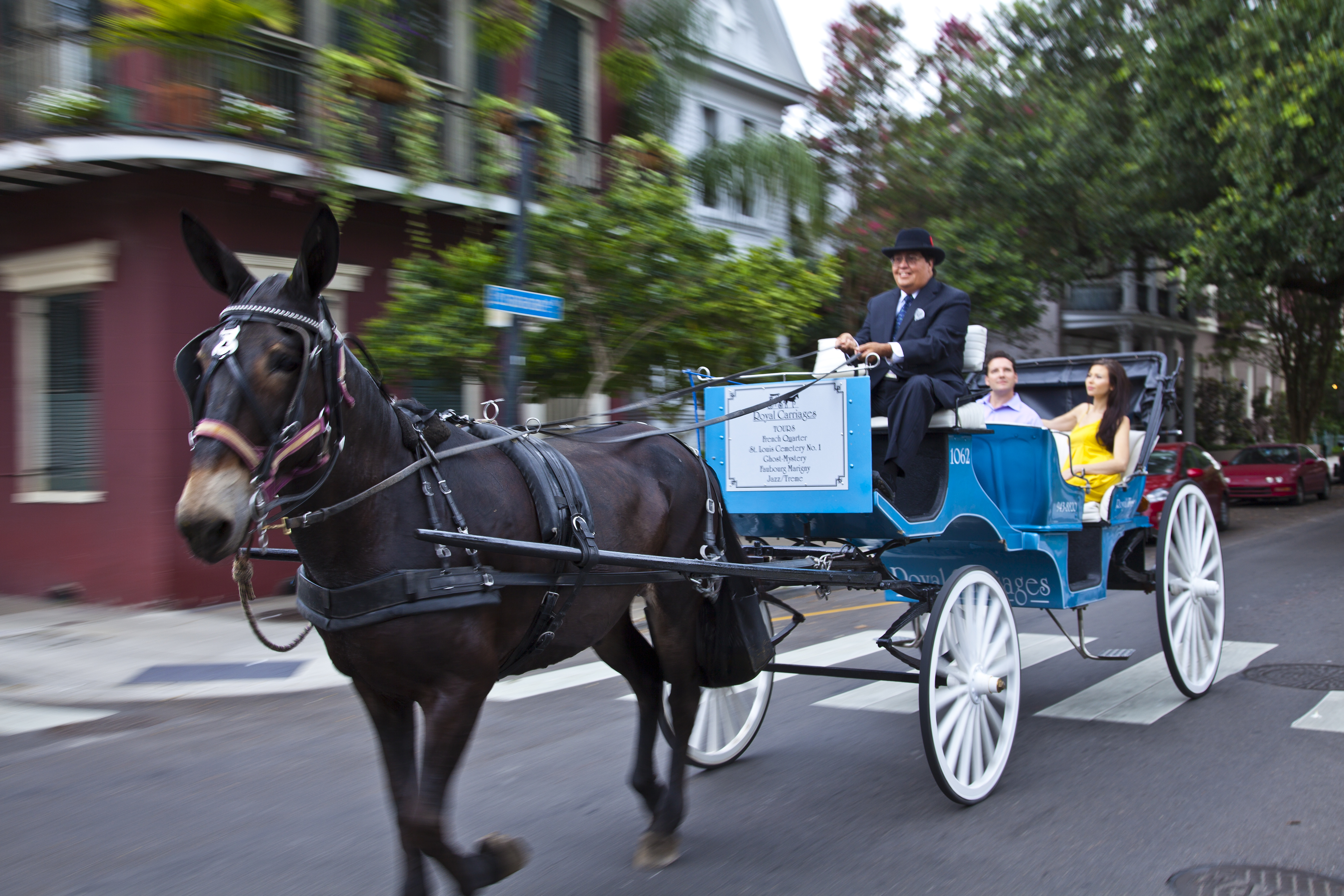 New Orleans Royal Carriage Tours New Orleans Royal Carriage Tours